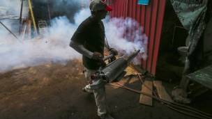 Fumigación contra el mosquito Aedes.