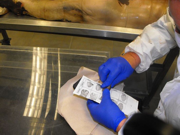 Toma de impresiones dactilares en los dedod rehidratados