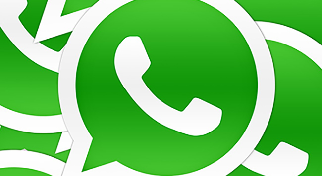 cuerpo whatsapp conex ios android