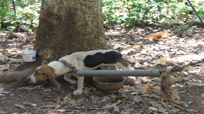 Caso de confinamiento