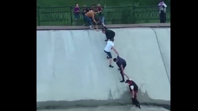 Video: IncreÃ­ble Rescate de un perro que cayÃ³ en un rio