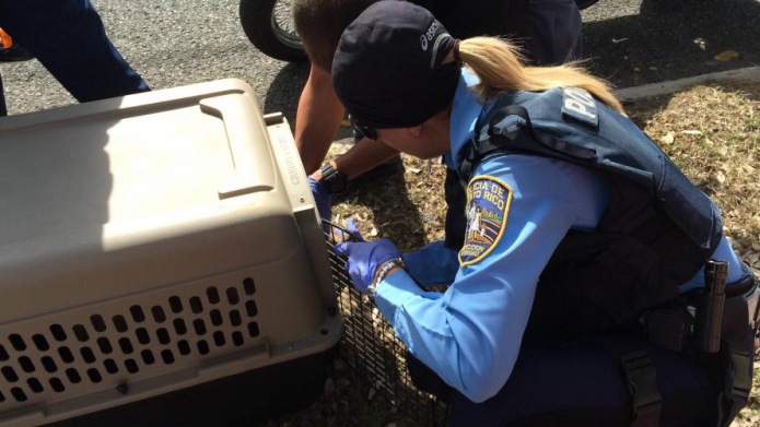 MOTOCICLISTAS DE LA POLICIA RESCATA A UN PERRITO
