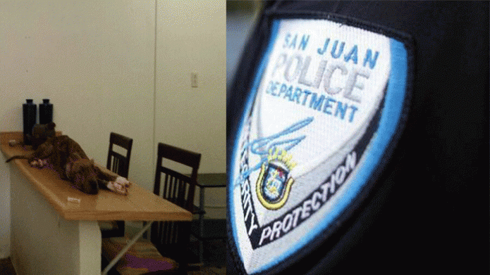 Alcaldesa de San Juan crea Unidad de InvestigaciÃ³n de Crueldad y Maltrato de Animales