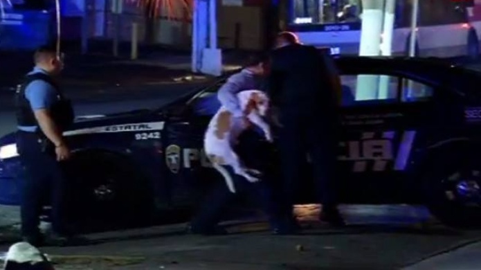 Video: Un perrito se aferra a su dueÃ±a que sufriÃ³ un accidente de auto en Ocean Park 