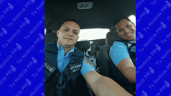 PolicÃ­as rescatan el perro de un niÃ±o en Caimito 