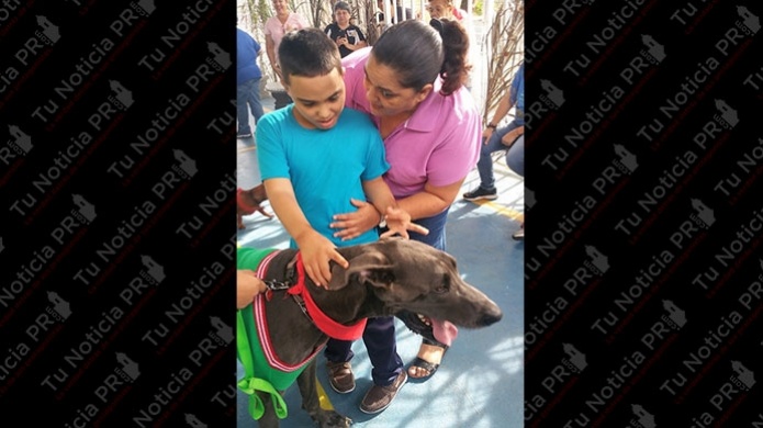 Terapia canina en la Escuela PES Ludovico Costoso