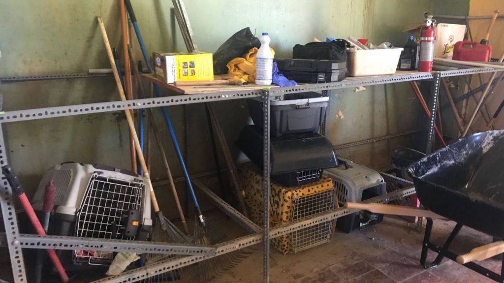 Santuario de animales pide ayuda tras robo en sus instalaciones