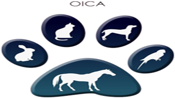 Culmina Juicio en contra de hombre que agredio Voluntaria del Grupo O.I.C.A.