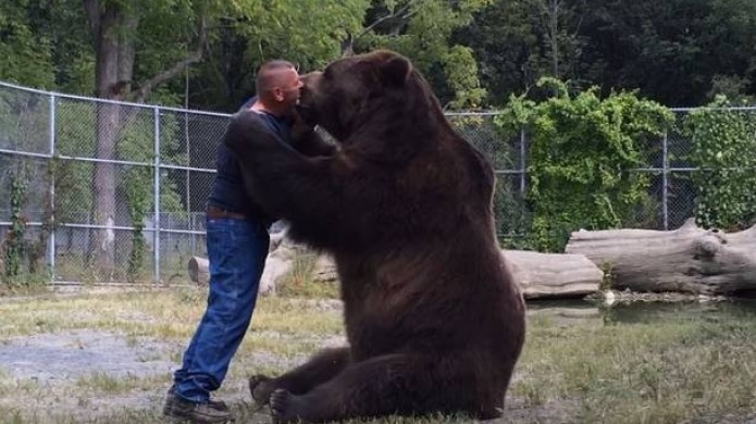 VÃ­deo muestra amistad entre hombre y oso