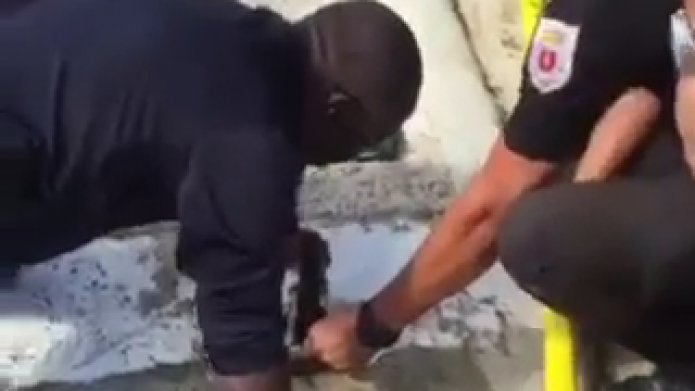 Video: Rescatan gatito atrapado dentro de un tubo en Carolina