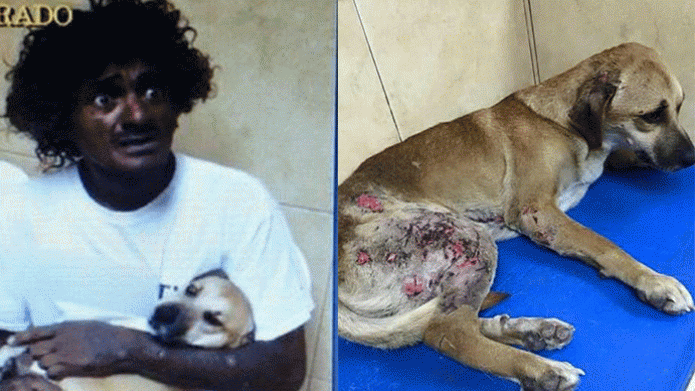 Nueva controversia por deambulante de Ponce y su perrito Bobby, alegan el hombre lo maltrato