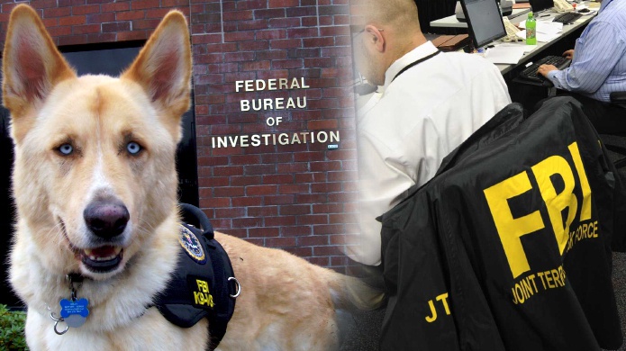El FBI registrarÃ¡ en 2016 el maltrato animales como delito contra la sociedad