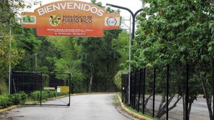 Comida y medicamentos expirados, falta de mantenimiento y poco personal en el ZoolÃ³gico de MayagÃ¼ez