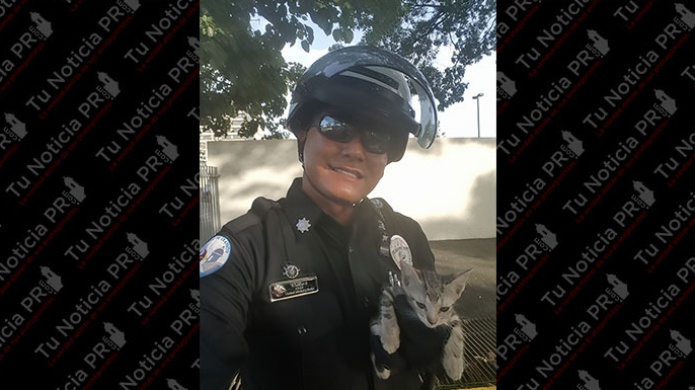 PolicÃ­as municipales de San Juan rescatan un "PequeÃ±o Gatito" En el expreso 