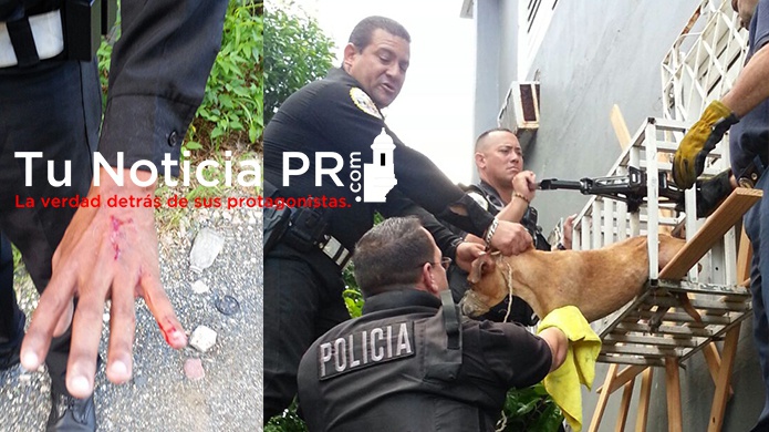 PolicÃ­a resulta herido tratando de rescatar un perro 