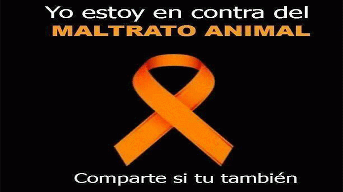 NO AL MALTRATO DE ANIMALES