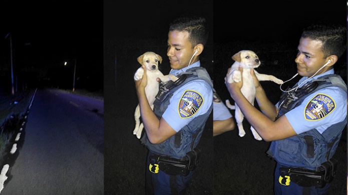 Video: PolicÃ­as en CataÃ±o rescatan 4 perritos "Bebes" abandonados en la carretera 