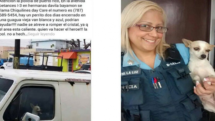 PolicÃ­as Rescata perrita encerrada en vehÃ­culo gracias a confidencia