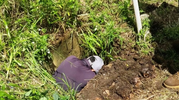 Fotos: PolicÃ­a rescata a perrito atrapado dentro de una alcantarilla en Toa Alta