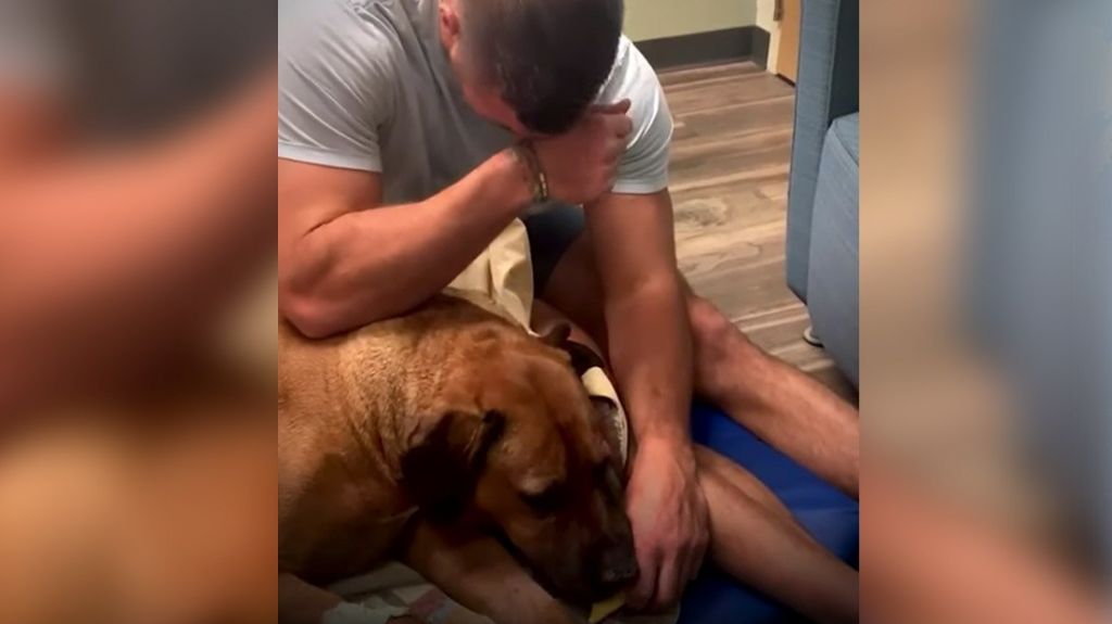  VIDEO: Un hombre llora mientras da de comer a su perro por última vez 