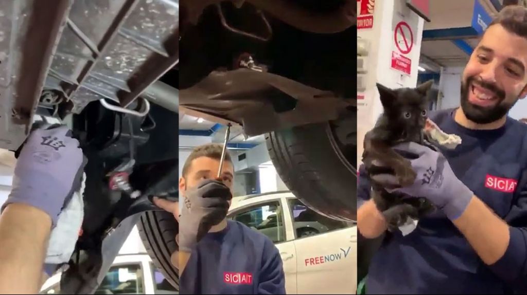  Video: Cuando tienes que llevar tu auto al mecánico para que saquen al gatito pillado 