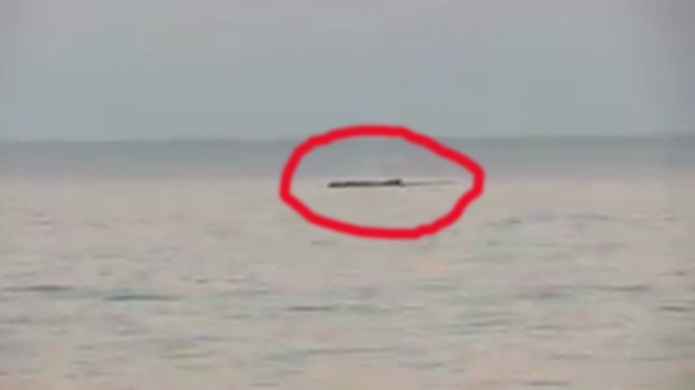 Video: Captan Ballenas en costas de Aguadilla