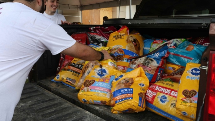 Open Mobile se une a Colitas Sonrientes en recogido masivo de alimentos para mascotas abandonadas