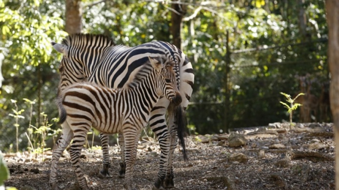 Satisfactorio crecimiento de la pequeÃ±a Valentina