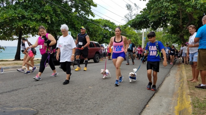 Cientos de personas participan en la primera carrera a beneficio del Santuario de Animales San Francisco de AsÃ­s