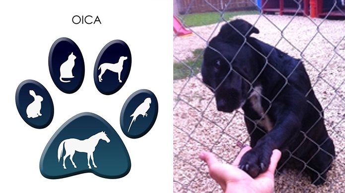 Nama - Caso de allanamiento en Camuy