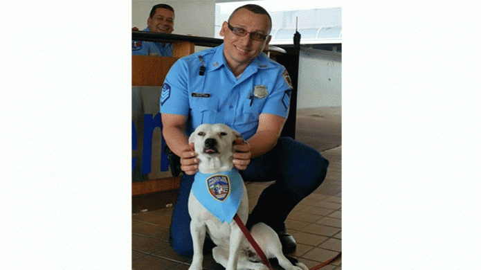 Modela un perro policÃ­a adoptado por agentes  