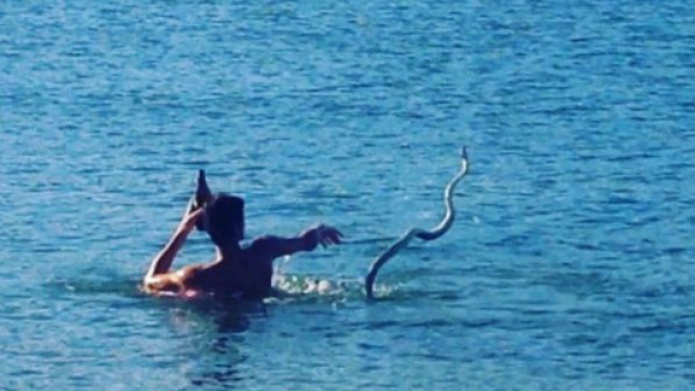 Video: Un hombre nada en un arroyo con una serpiente... su mascota