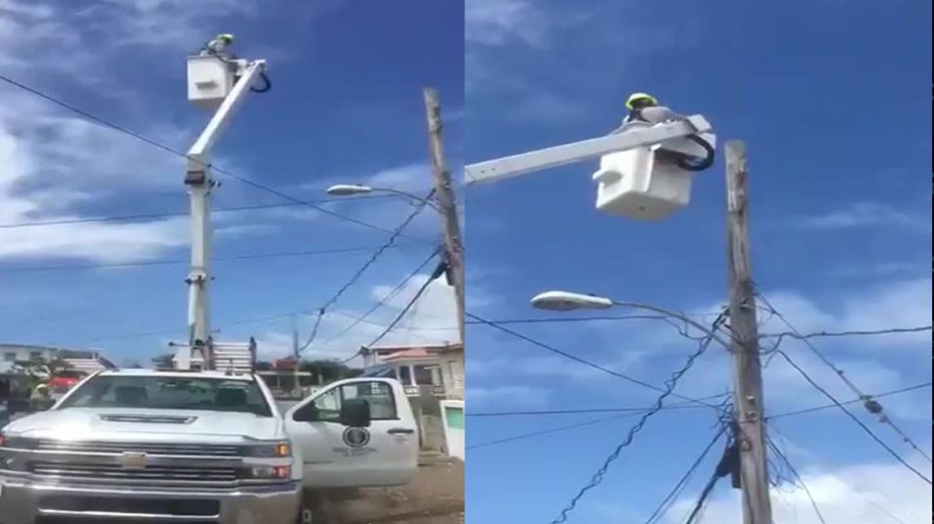  En Video empleados de la AEE rescatan un gatito que se trepo a la punta de un poste    