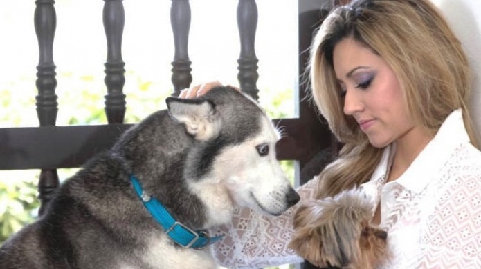 Primera dama llama a participar de la primera Cumbre por el Bienestar de los Animales