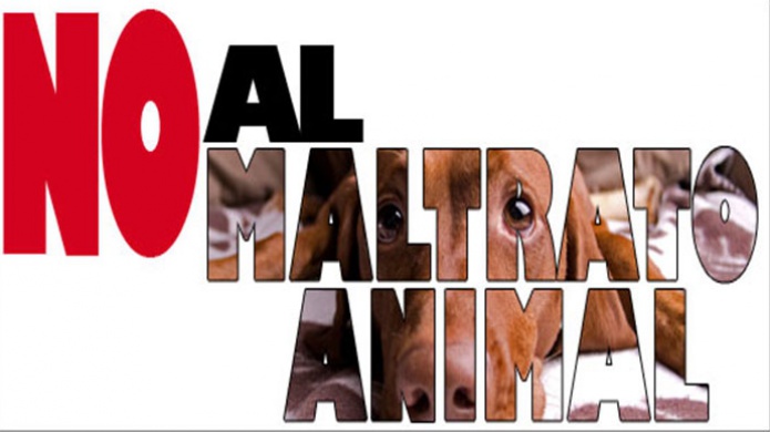 Fiscal de Ponce rechaza someter caso de maltrato de animales 