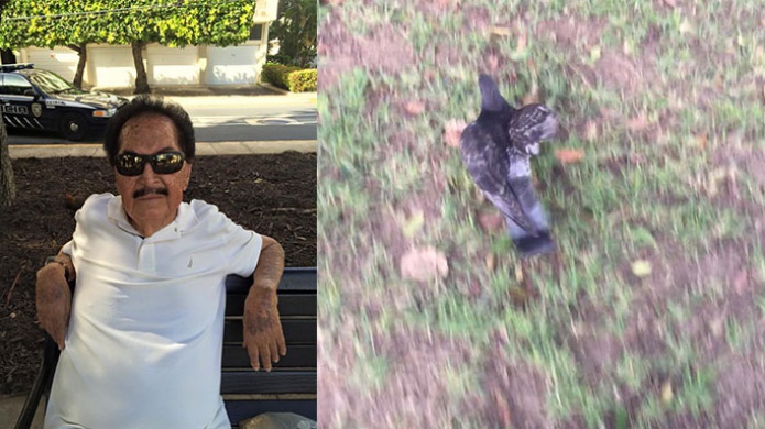 Hombre que alimenta palomas en Condado, es vÃ­ctima de acoso cibernÃ©tico por comerciante de San Juan