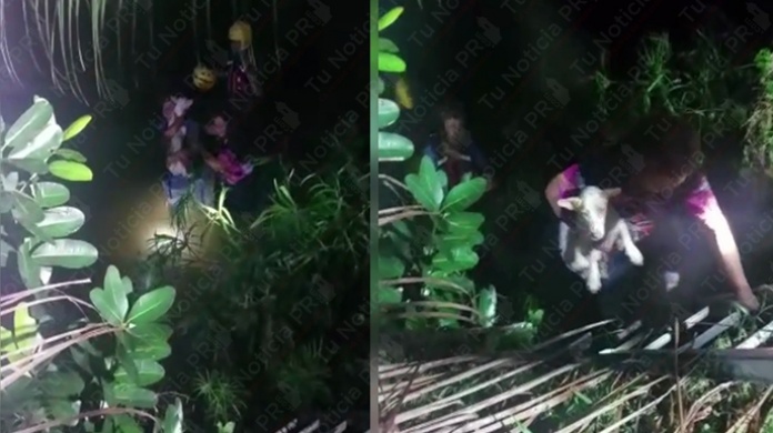 Video: Captan momento del rescate de un perro que cayÃ³ a un rio ayer en Rio Grande 