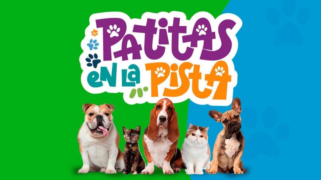  “Patitas en la Pista": Primer 3K canino del Municipio de San Juan 