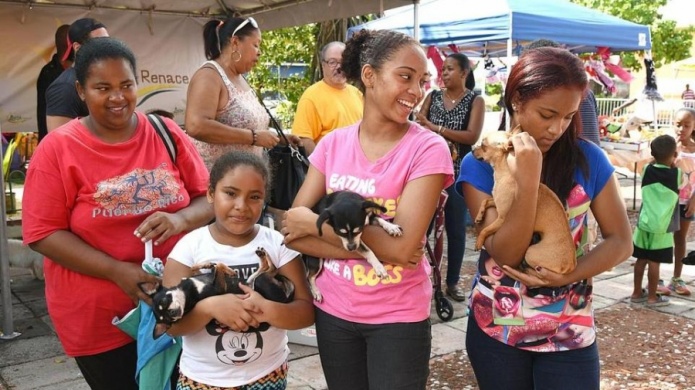 Municipio de LoÃ­za celebra resultados de campaÃ±a de adopciÃ³n de mascotas