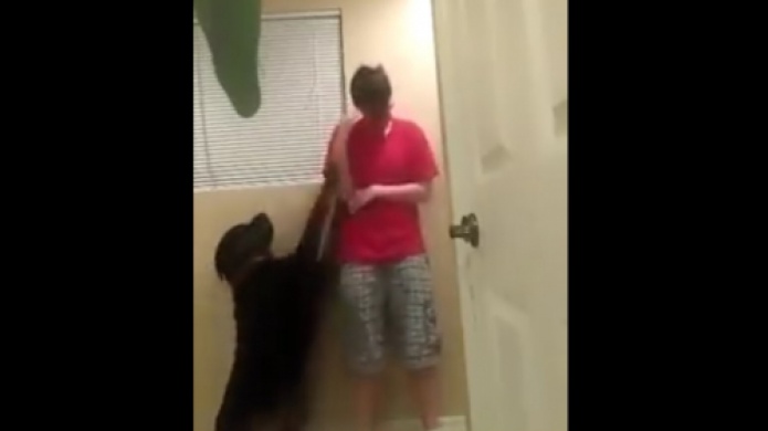 Video: Emocionante...Un joven autista entra en crisis y asÃ­ reacciona su perro
