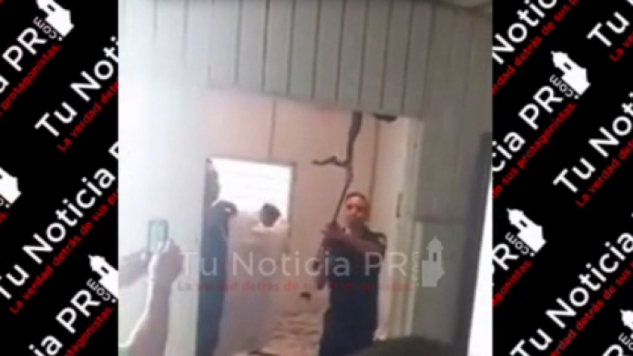 Video: Descubren en una residencia de Bayamon, familia de culebras dentro de una pared