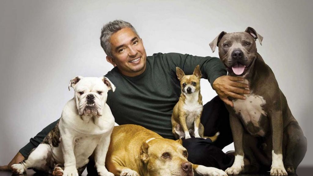 El "Encantador de perros" visitarÃ¡ la Isla