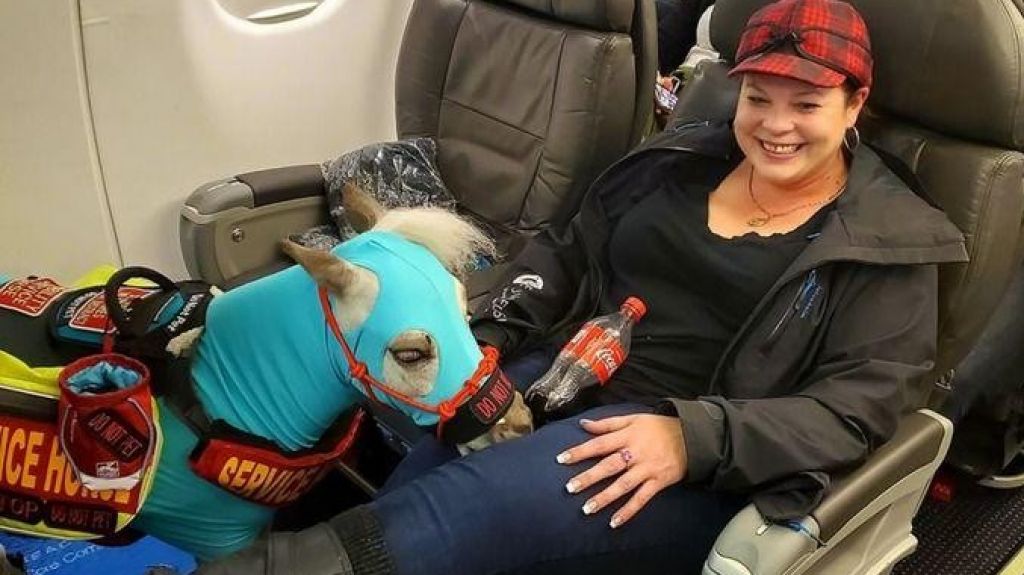  Video: Compró dos boletos en primera clase, uno para ella y uno para su pony 