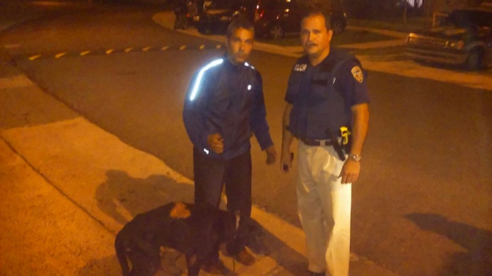 Policia rescata un perro que fue golpeado y quemado en residencial de Cayey