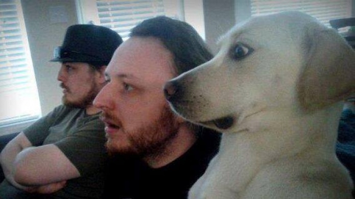 Amas a tu Mascota Quieres que todo mundo la conozca?