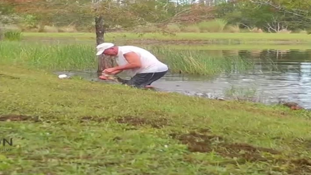  En video momento en que un hombre rescata un perrito de la mandíbula de un caimán en Florida 