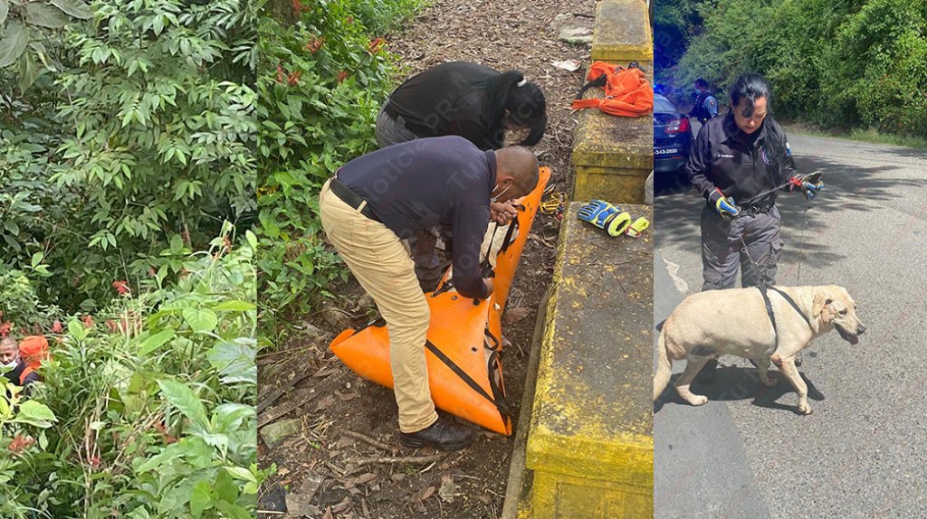  Video del heroico rescate de “Pepito” un perrito que cayó por un barranco en Cayey 