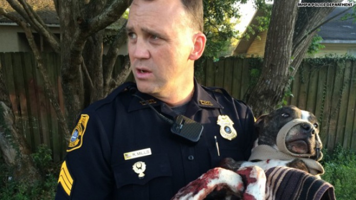 PolicÃ­a rescata a una perra atada a las vÃ­as y herida