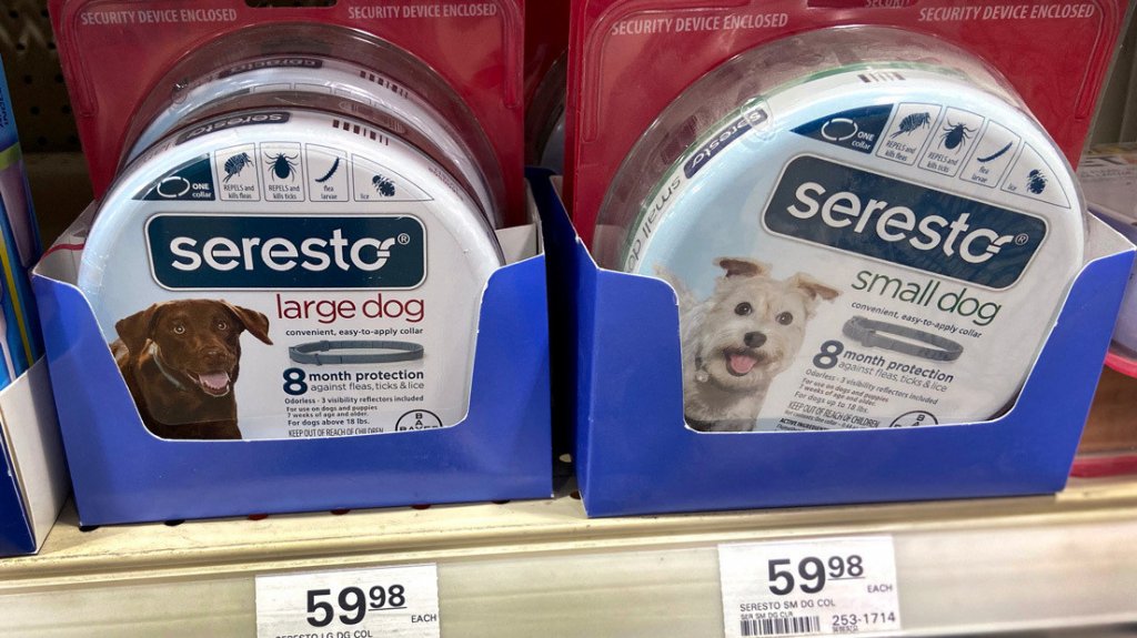  Vinculan un popular collar antipulgas con la muerte de cerca de 1.700 perros y gatos en EE.UU. 