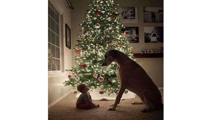 Una Foto que no necesita descripciÃ³n 